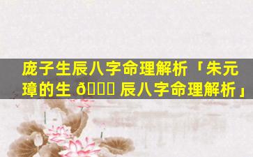 庞子生辰八字命理解析「朱元璋的生 🍁 辰八字命理解析」